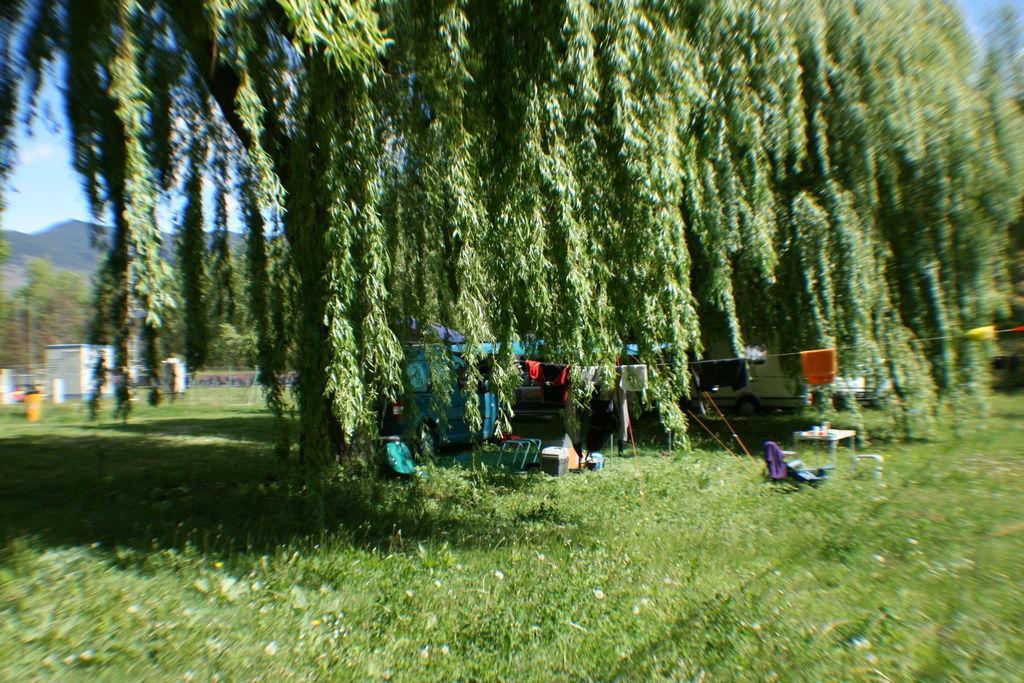 Alberg Escola De Piraguisme De Sort Zewnętrze zdjęcie